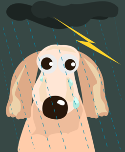 Sad Dog In The Rain