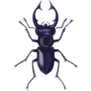 download Stag Beetle Lucanus Elephas clipart image with 225 hue color
