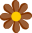 Brown Flower
