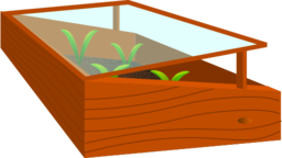 Cold Frame