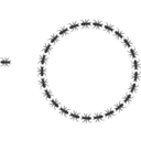 Ant Border Circle