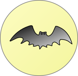 Bat In Front Of Moon