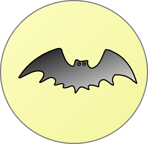 Bat In Front Of Moon