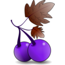 download Red Fruit  clipart image with 270 hue color