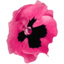 download Pensee 1 clipart image with 270 hue color