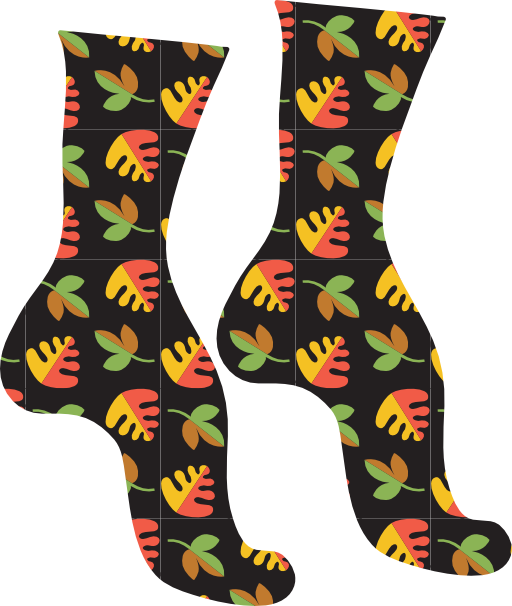 Socks Icon