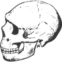 download Amud Skull Grayscale clipart image with 45 hue color