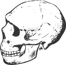 Amud Skull Grayscale