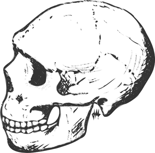 Amud Skull Grayscale