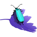 download Cardinal Beetle Pyrochroa Coccinea clipart image with 180 hue color