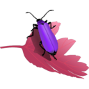 download Cardinal Beetle Pyrochroa Coccinea clipart image with 270 hue color