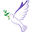 download Dove clipart image with 45 hue color