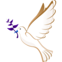 download Dove clipart image with 180 hue color