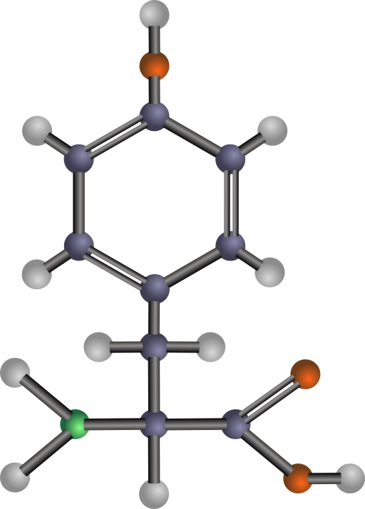 Tyrosine Amino Acid