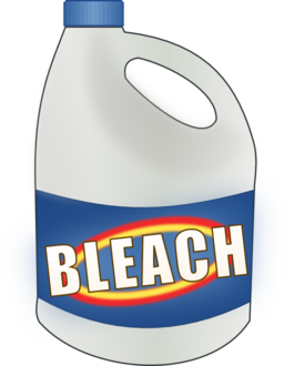 Bleach Bottle