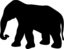 Elephant Contour