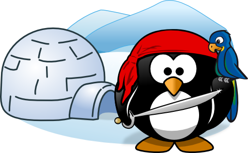 Pirate In Antarctica