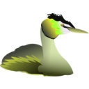 download Podiceps Cristatus clipart image with 45 hue color