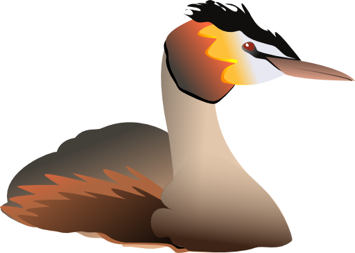 Podiceps Cristatus