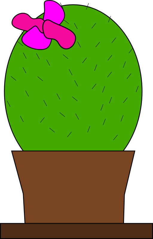 Cactus