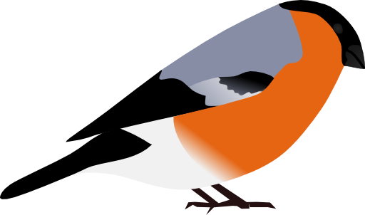 Bullfinch