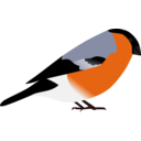 Bullfinch