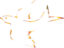 Bird Icon