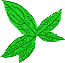 Green Leaf