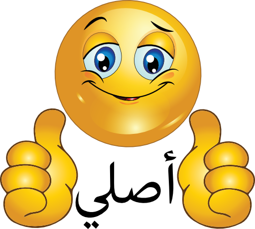 Perfect Smiley Emoticon