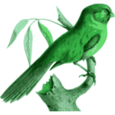 download Paradoxornis Unicolor clipart image with 90 hue color