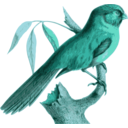 download Paradoxornis Unicolor clipart image with 135 hue color