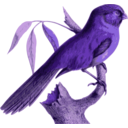 download Paradoxornis Unicolor clipart image with 225 hue color