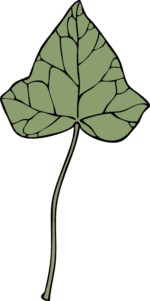 Ivy Leaf 7