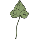 download Ivy Leaf 7 clipart image with 0 hue color