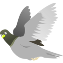 download A Flying Pigeon clipart image with 45 hue color