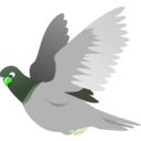 download A Flying Pigeon clipart image with 90 hue color