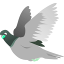 download A Flying Pigeon clipart image with 135 hue color