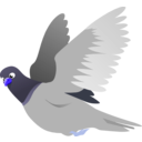 download A Flying Pigeon clipart image with 225 hue color