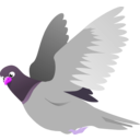 download A Flying Pigeon clipart image with 270 hue color