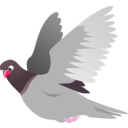 download A Flying Pigeon clipart image with 315 hue color