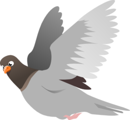 A Flying Pigeon