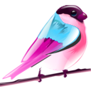download Bird Icon clipart image with 315 hue color