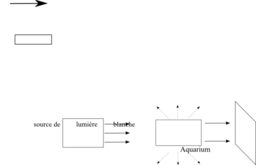 Diffusion