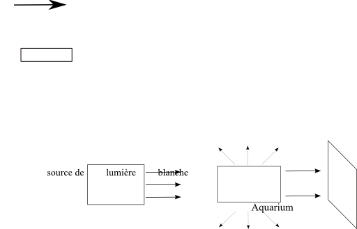 Diffusion