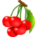 Cherries