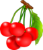 Cherries