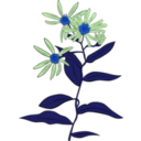 download Aster Conspicuus clipart image with 180 hue color