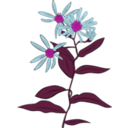 download Aster Conspicuus clipart image with 270 hue color