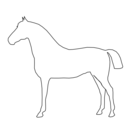 Simple Horse