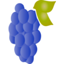 download Grapes Icon clipart image with 270 hue color